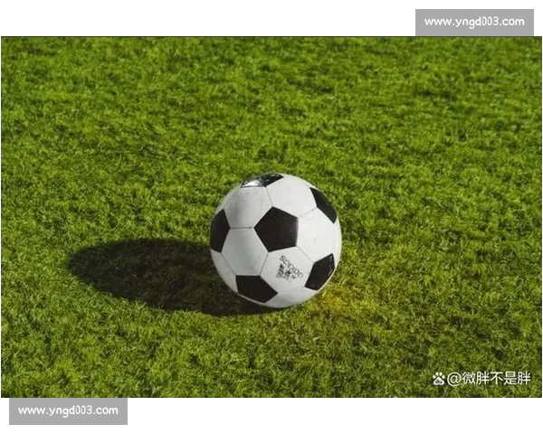 高清足球直播PC版免费在线观看畅享全球赛事精彩瞬间 - 副本 (2) - 副本 - 副本 - 副本 - 副本 - 副本 - 副本 - 副本