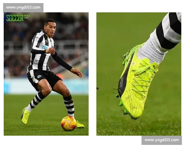 高清足球赛事直播APP下载指南畅享全球赛场精彩即时比分数据分析权威解说 - 副本 - 副本 (5) - 副本 - 副本 - 副本